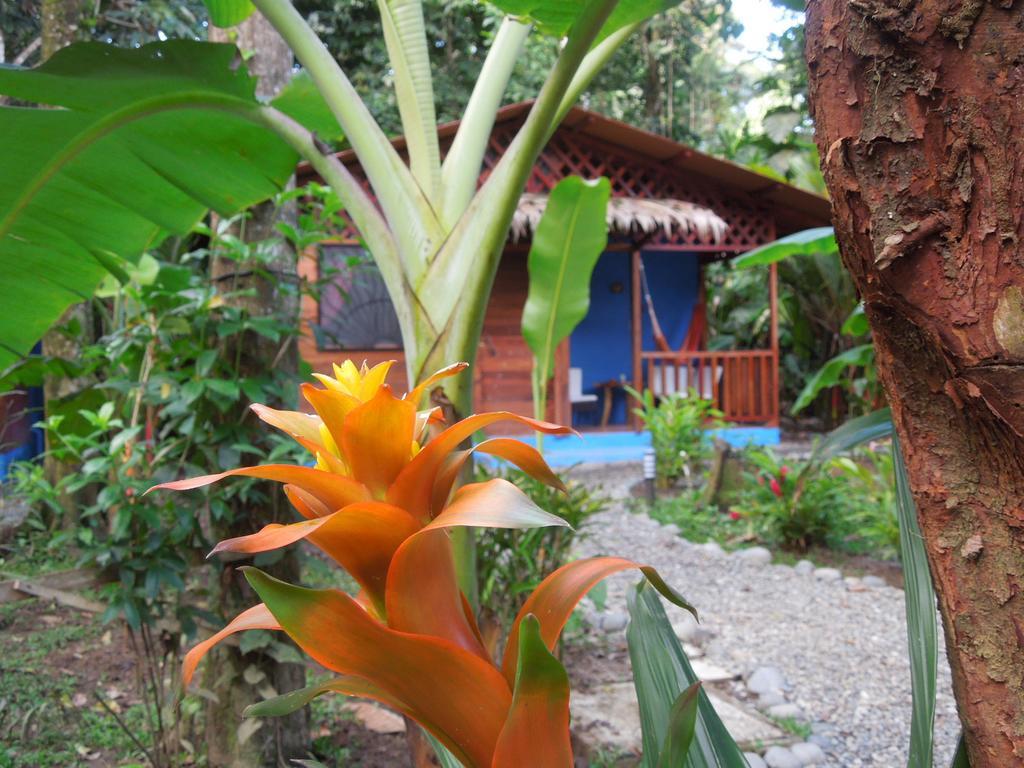 Casitas Las Flores Puerto Viejo de Talamanca Exterior photo